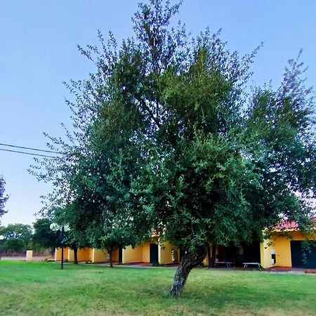 Nuraghe Ruiu Camping & Bungalow Norbello エクステリア 写真