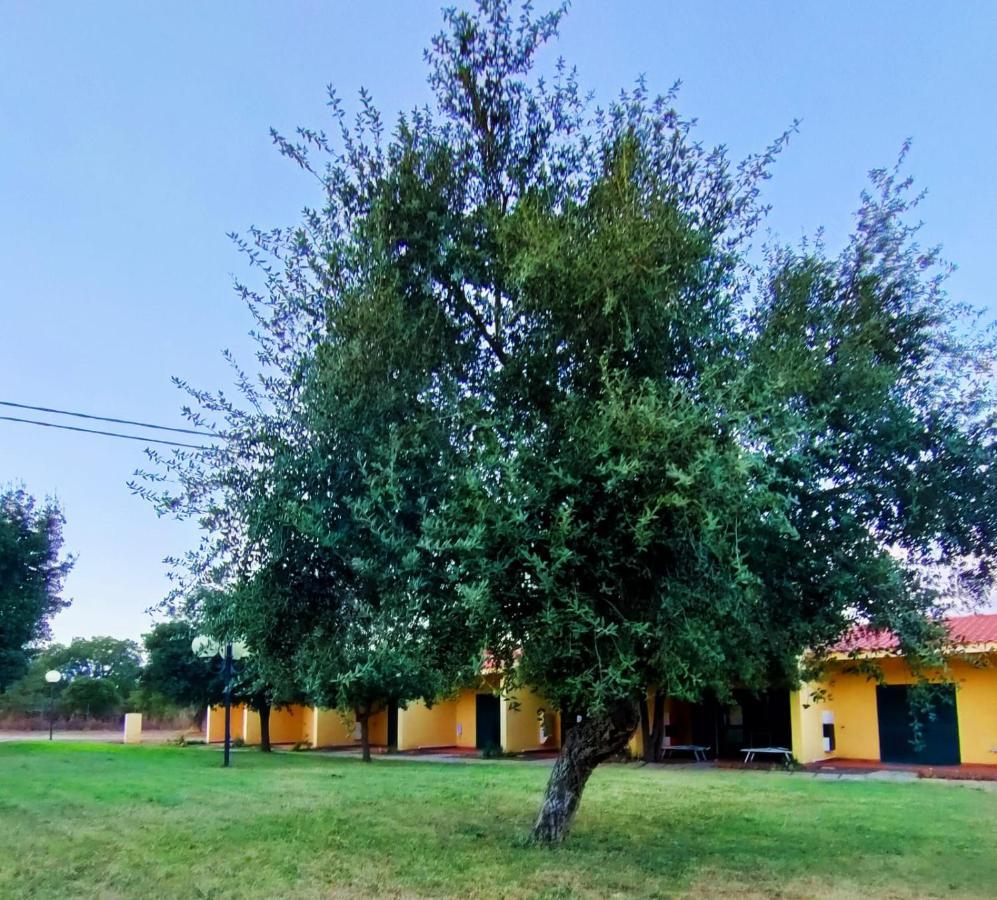 Nuraghe Ruiu Camping & Bungalow Norbello エクステリア 写真