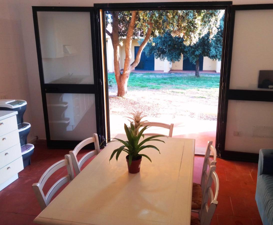 Nuraghe Ruiu Camping & Bungalow Norbello エクステリア 写真