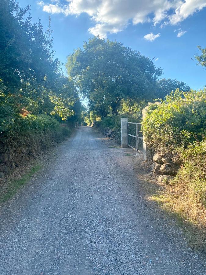 Nuraghe Ruiu Camping & Bungalow Norbello エクステリア 写真